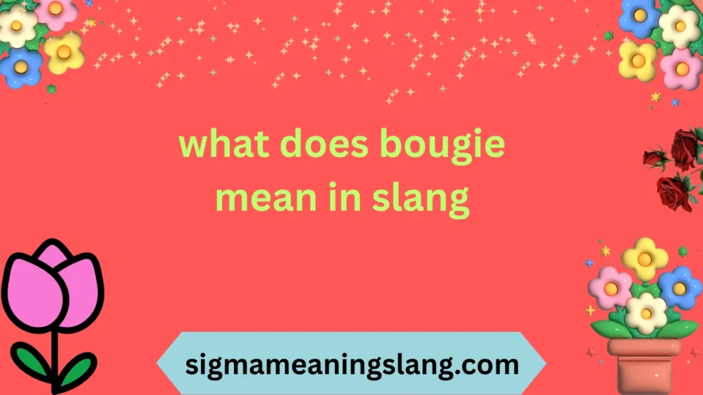 what does bougie mean in slang