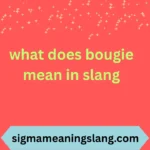 what does bougie mean in slang