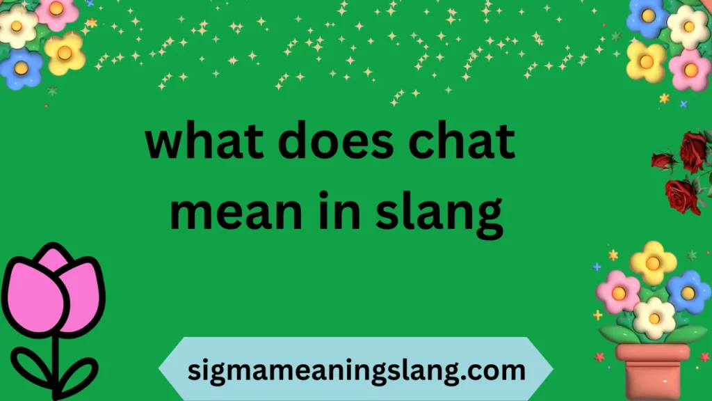 what does chat mean in slang
