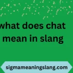 what does chat mean in slang