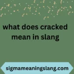 what does cracked mean in slang