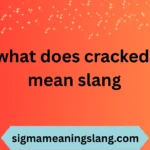 what does cracked mean slang