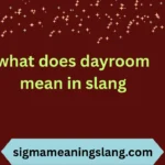 what does dayroom mean in slang