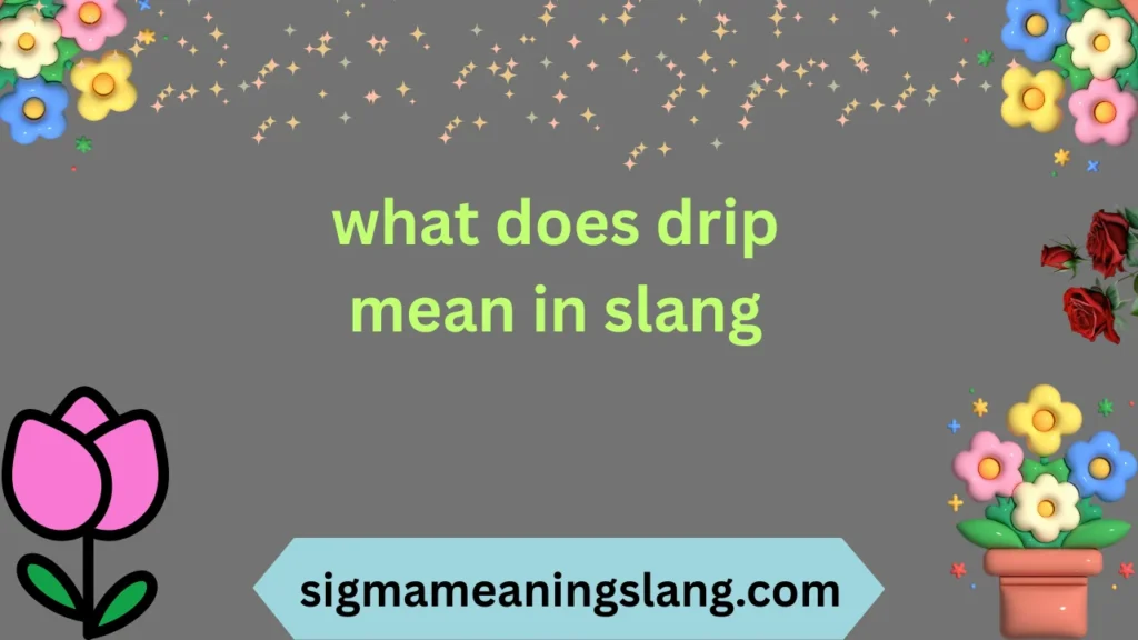 what does drip mean in slang