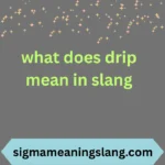 what does drip mean in slang