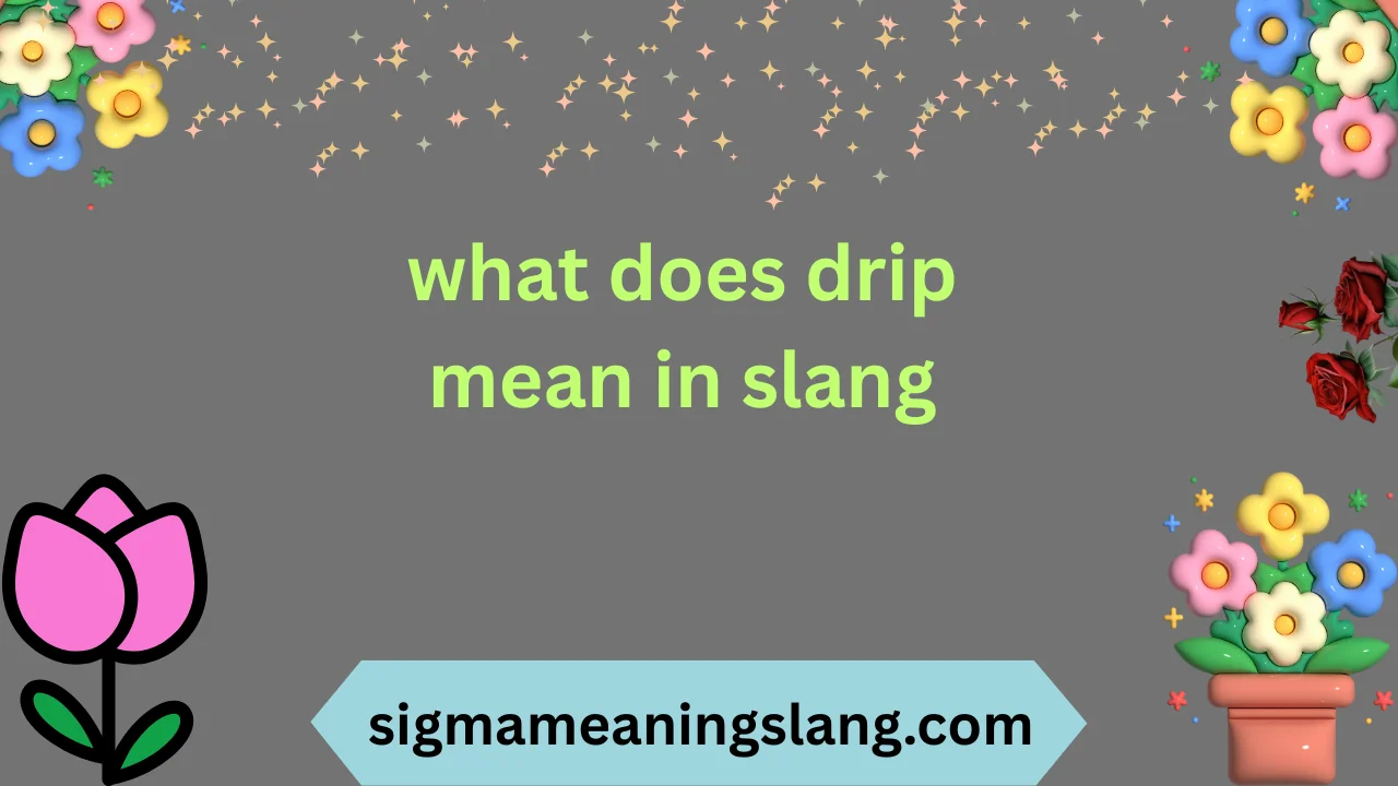 what does drip mean in slang