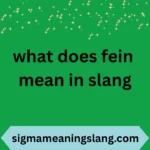 what does fein mean in slang
