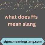 what does ffs mean slang
