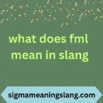 what does fml mean in slang