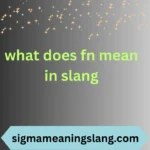 what does fn mean in slang