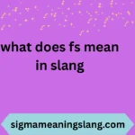 what does fs mean in slang