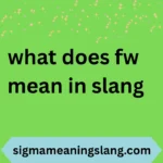 what does fw mean in slang
