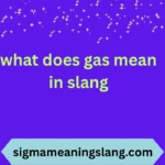 what does gas mean in slang