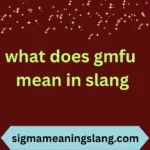 what does gmfu mean in slang