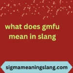 what does gmfu mean in slang