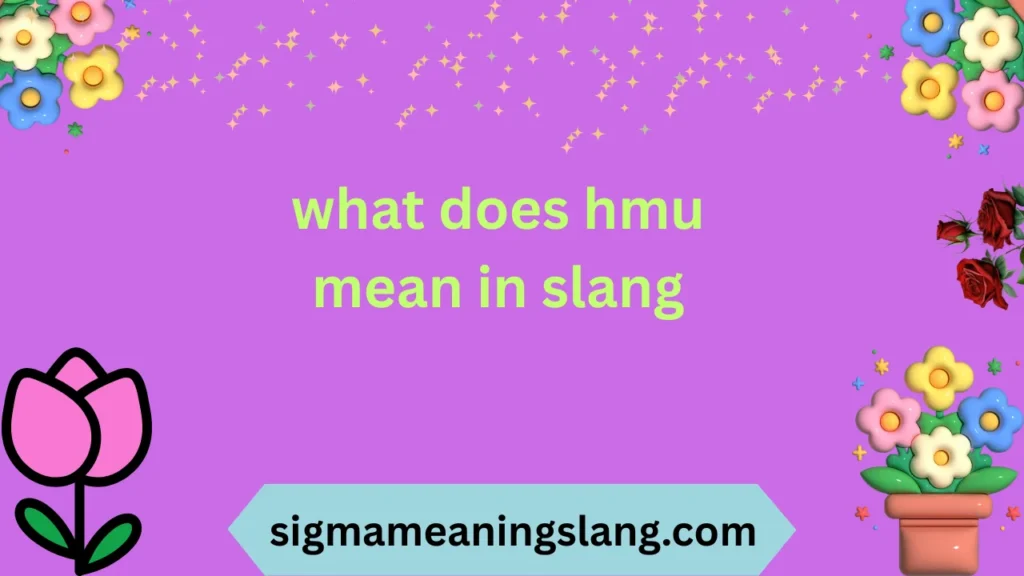 what does hmu mean in slang