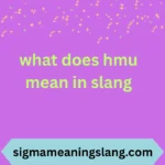 what does hmu mean in slang