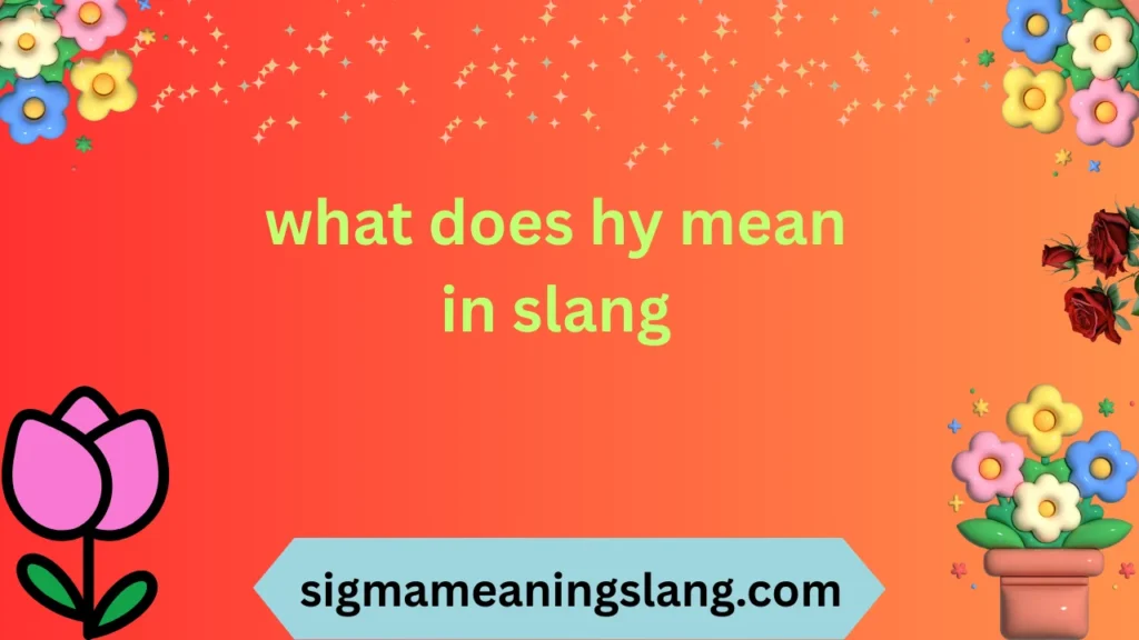what does hy mean in slang