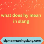 what does hy mean in slang