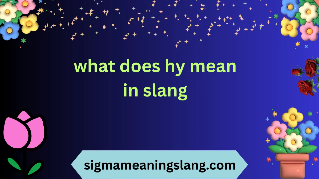what does hy mean in slang