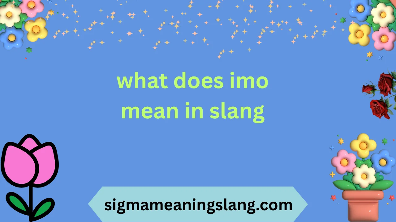 what does imo mean in slang