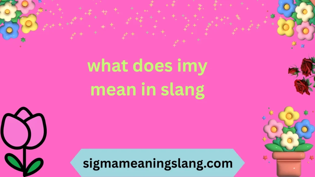 what does imy mean in slang