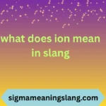 what does ion mean in slang