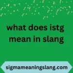what does istg mean in slang