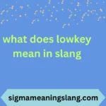 what does lowkey mean in slang