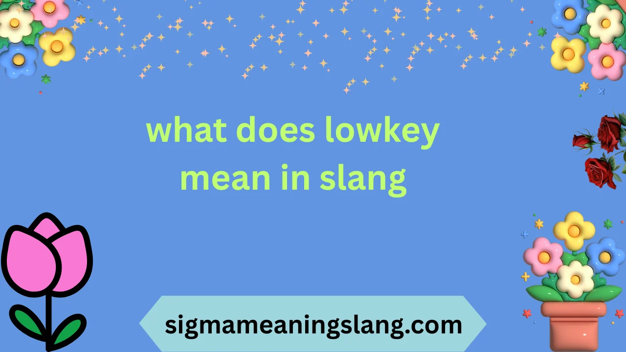 what does lowkey mean in slang