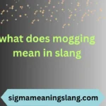 what does mogging mean in slang