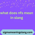 what does nfs mean in slang