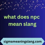 what does npc mean slang
