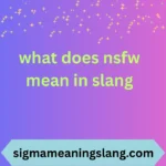 what does nsfw mean in slang