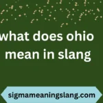 what does ohio mean in slang