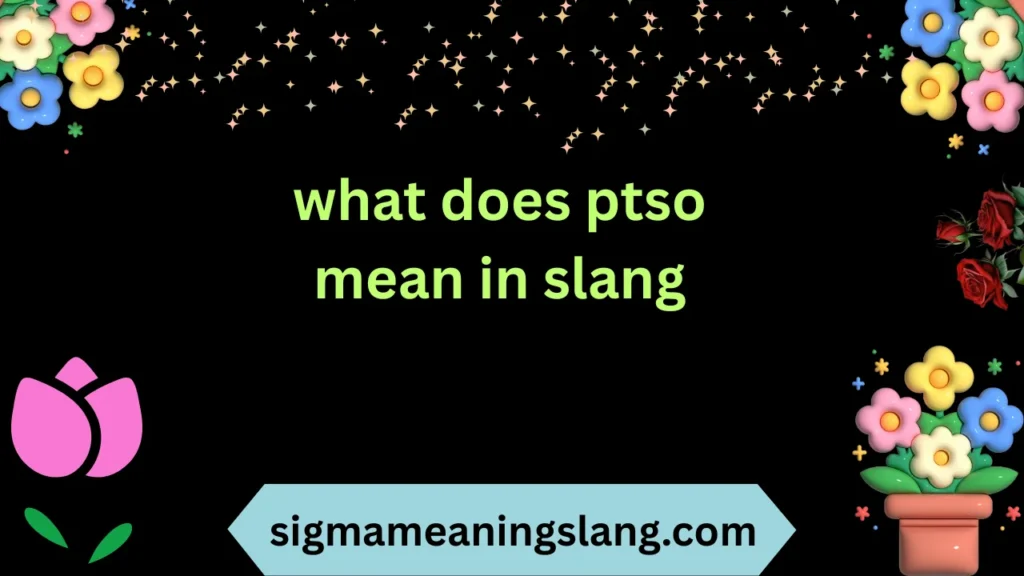 what does ptso mean in slang