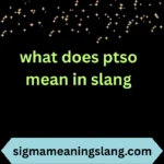 what does ptso mean in slang