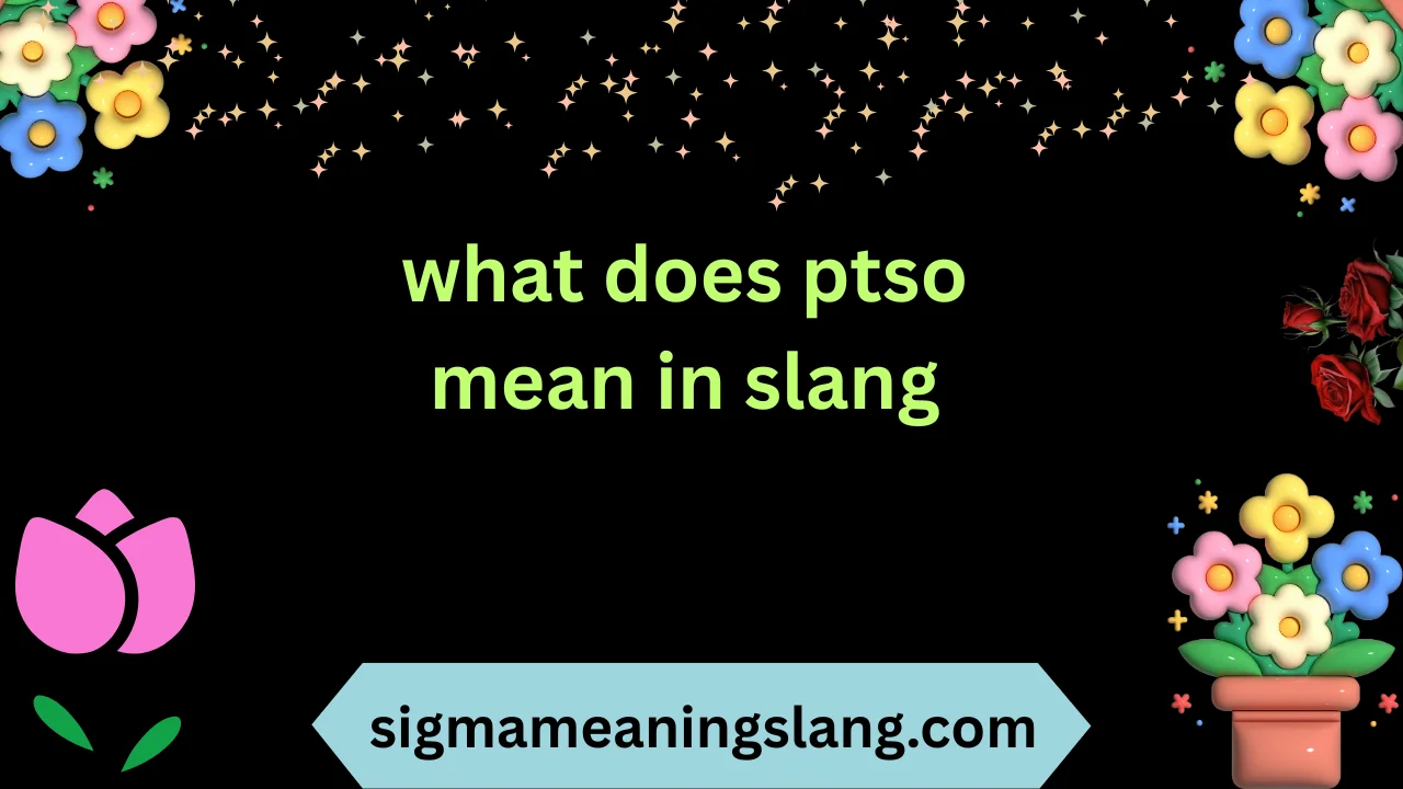 what does ptso mean in slang