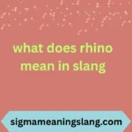 what does rhino mean in slang