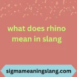 what does rhino mean in slang