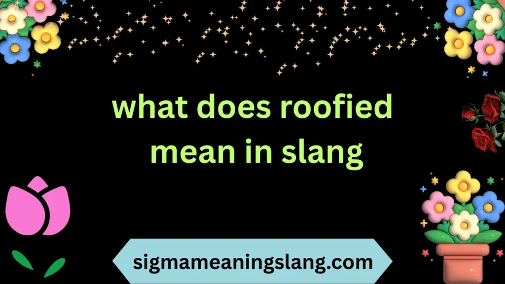 what does roofied mean in slang