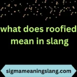 what does roofied mean in slang