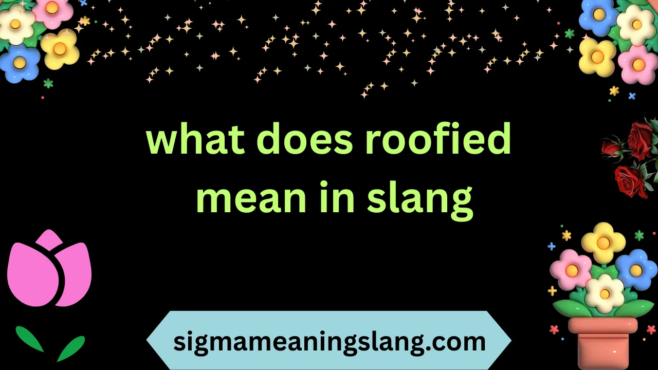 what does roofied mean in slang