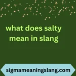 what does salty mean in slang