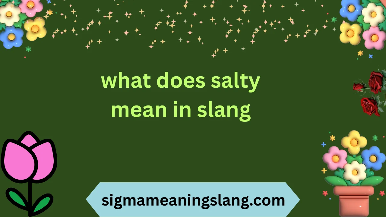 what does salty mean in slang
