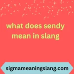 what does sendy mean in slang
