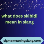 what does skibidi mean in slang