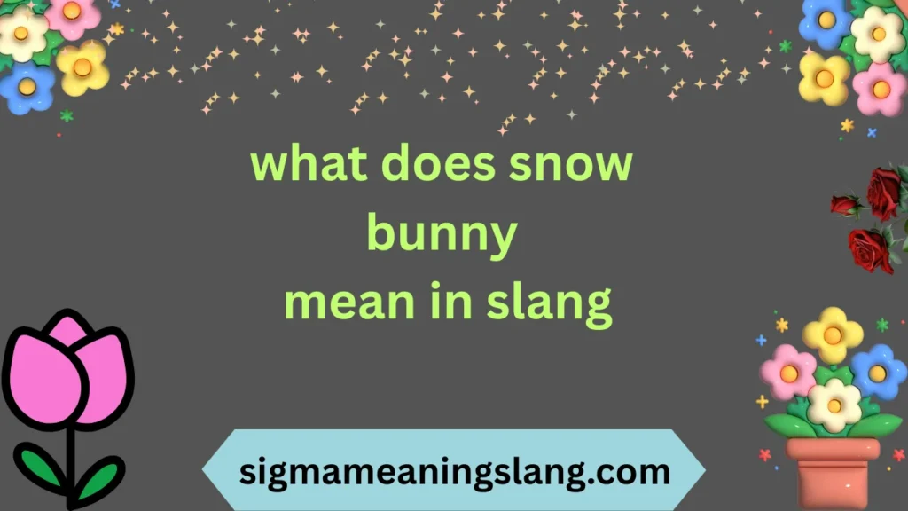 what does snow bunny mean in slang