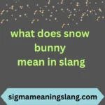 what does snow bunny mean in slang