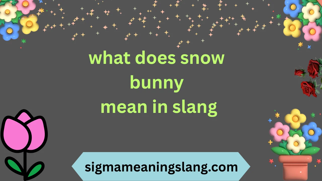 what does snow bunny mean in slang